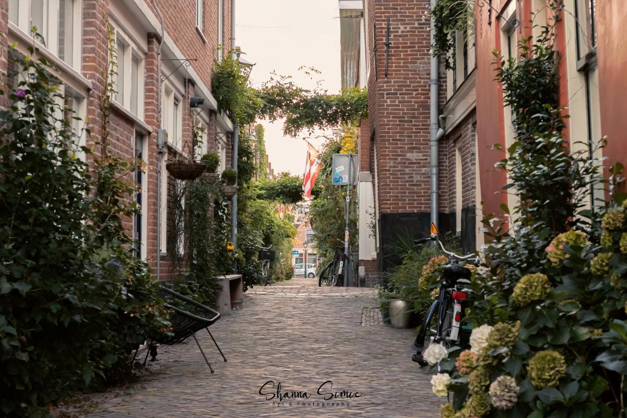 Aparthotel De Koning By Urban Home Stay Alkmaar Dış mekan fotoğraf